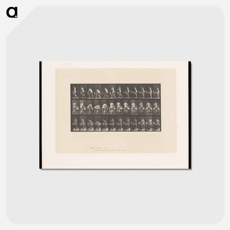 アートポストカード-Ironing Nude
 - エドワード マイブリッジ Postcard.