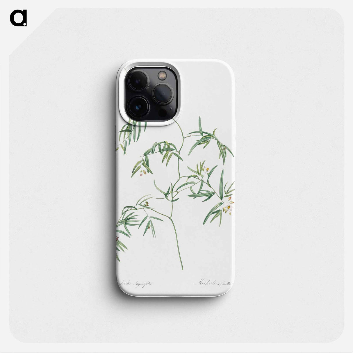 Bridal creeper illustration - Pierre Joseph Redouté Phone Case.