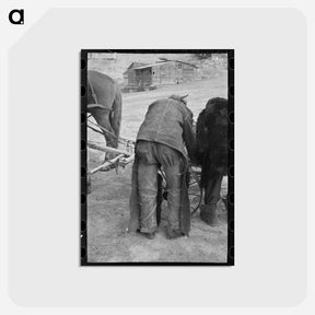 アートポストカード-Farmer in Cowboy Chaps
 - ラッセル リー Postcard.