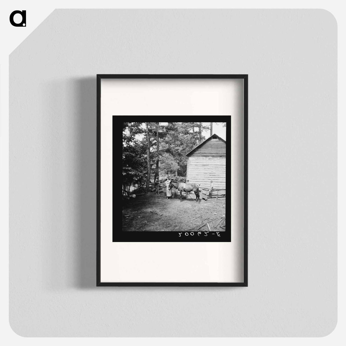 Untitled photo, possibly related to: Young son of tenant farmer gathering sticks for workers to string tobacco on. Granville County, North Carolina - ドロテア ラング Poster.