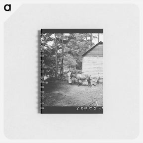 アートメモ帳-Untitled photo, possibly related to: Young son of tenant farmer gathering sticks for workers to string tobacco on. Granville County, North Carolina - ドロテア ラング Memo.