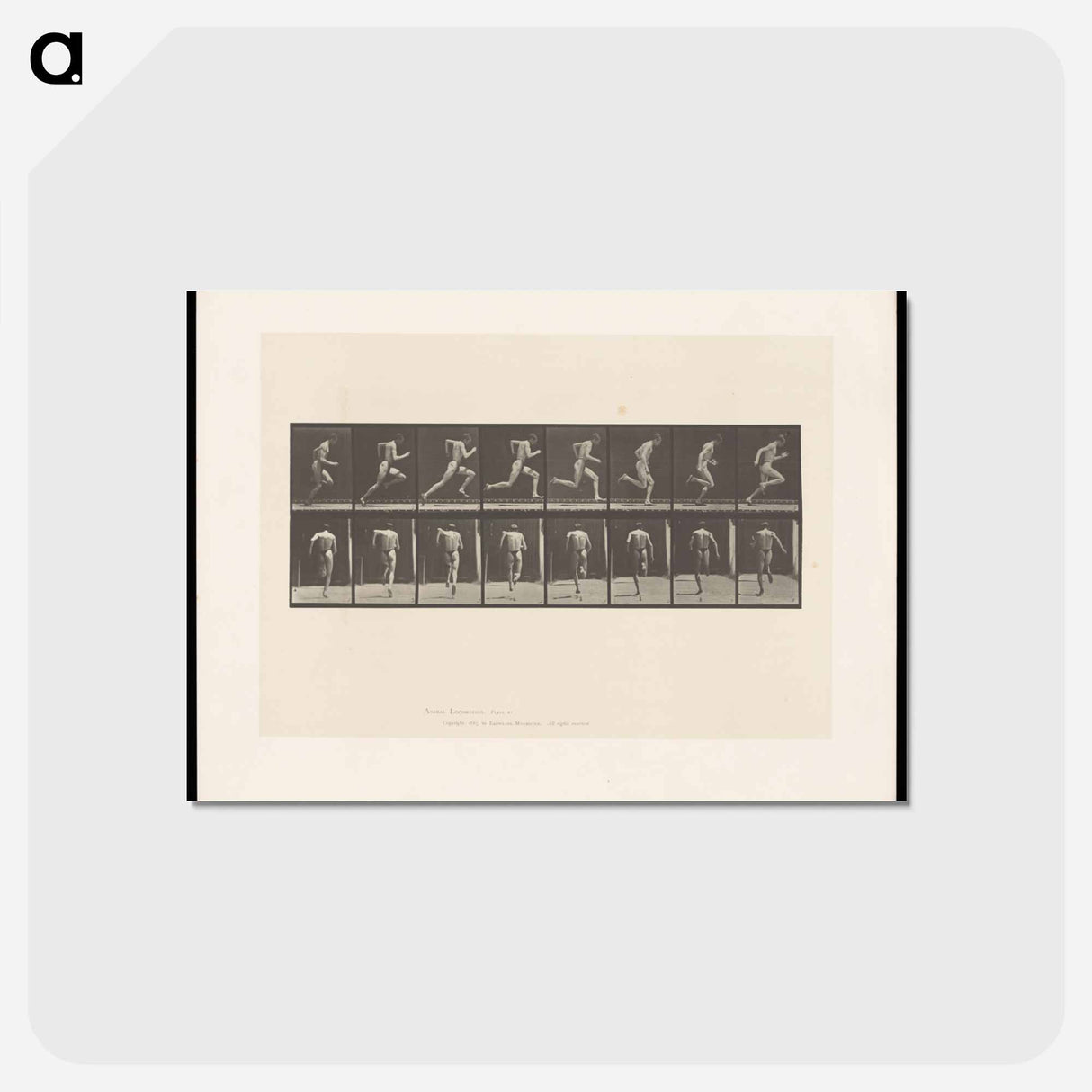アートポストカード-Sprinting Man
 - エドワード マイブリッジ Postcard.