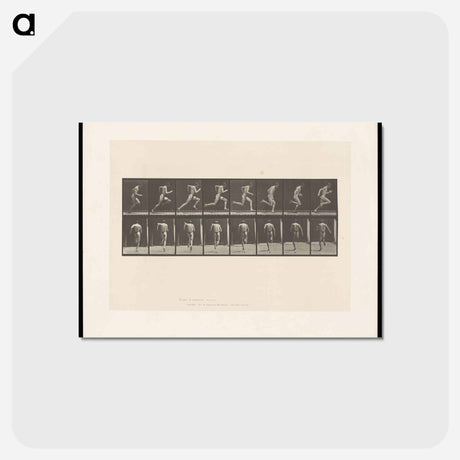 アートポストカード-Sprinting Man
 - エドワード マイブリッジ Postcard.