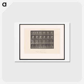 アートポストカード-Bare-Knuckle Boxing
 - エドワード マイブリッジ Postcard.