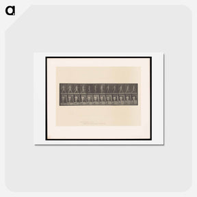 アートポストカード-A Man Sowing
 - エドワード マイブリッジ Postcard.