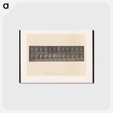 アートポストカード-A Man Sowing
 - エドワード マイブリッジ Postcard.