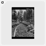 アートポストカード-Klamath Falls City Park
 - ラッセル リー Postcard.