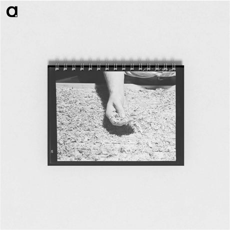 アートメモ帳-Soybean Hay, Lake Dick Project
 - ラッセル リー Memo.