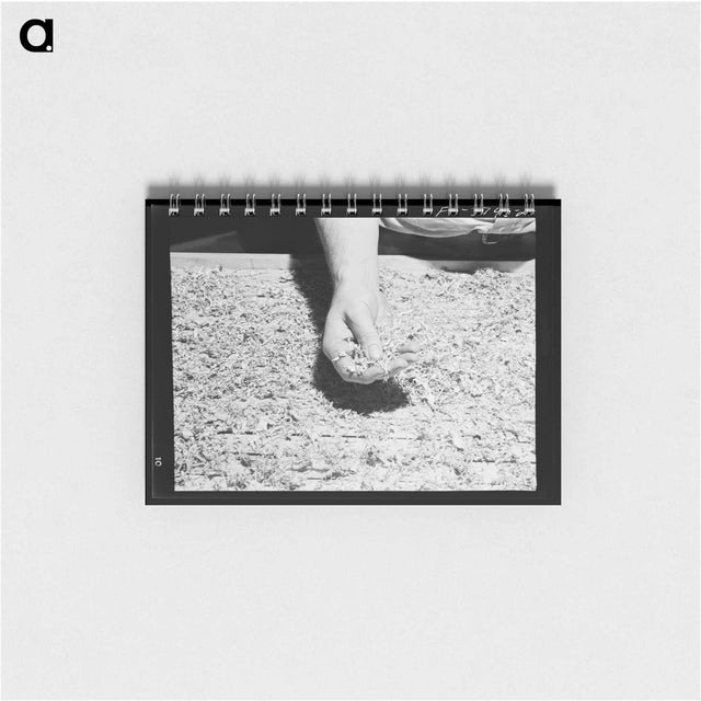 アートメモ帳-Soybean Hay, Lake Dick Project
 - ラッセル リー Memo.