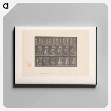 Man Turning a Handle
 - エドワード マイブリッジ Canvas.