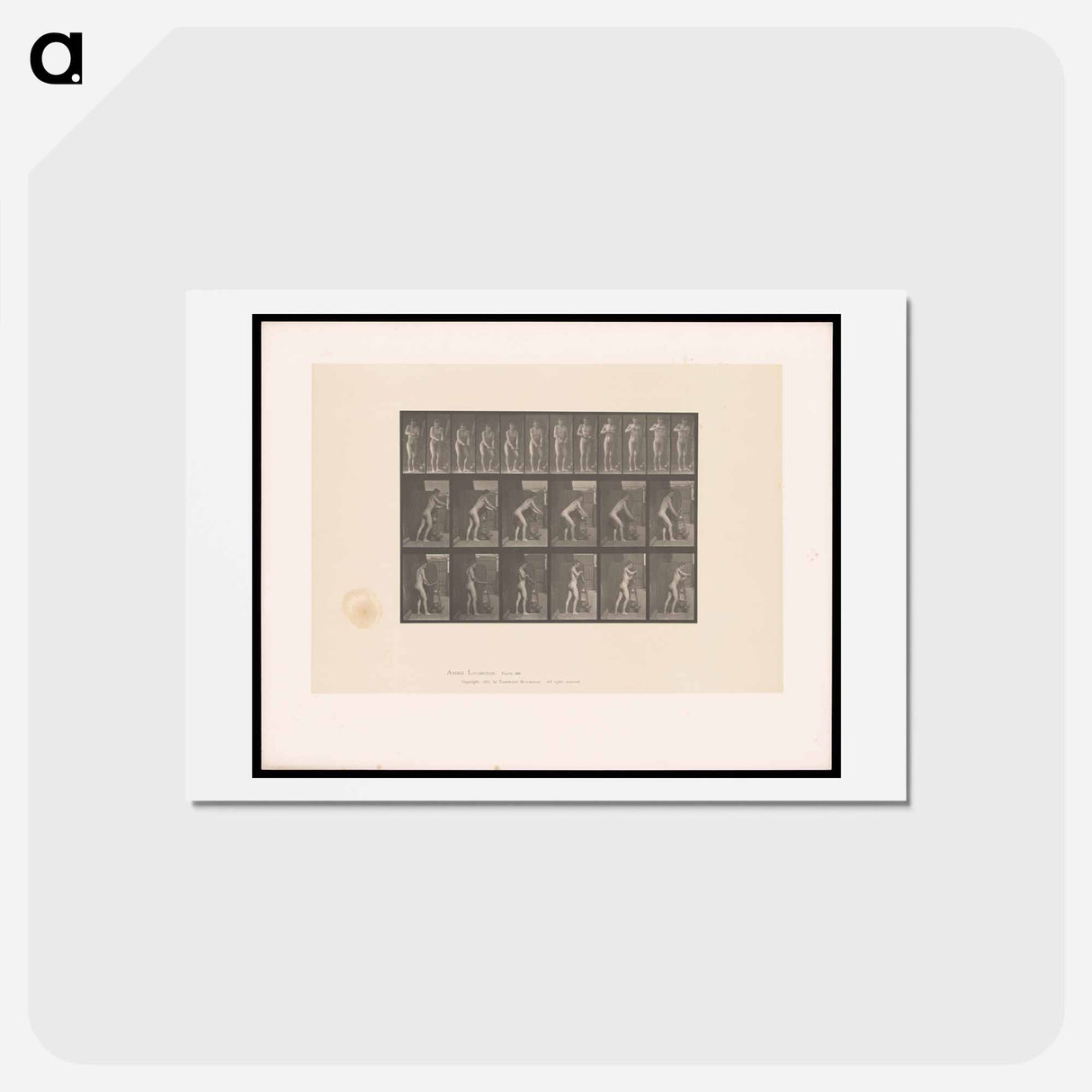 アートポストカード-Man Turning a Handle
 - エドワード マイブリッジ Postcard.