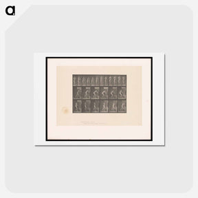 アートポストカード-Man Turning a Handle
 - エドワード マイブリッジ Postcard.