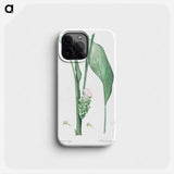 Turmeric illustration from Les liliacées - Pierre Joseph Redouté Phone Case.