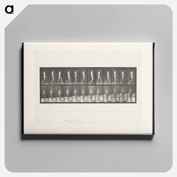 Man Walking
 - エドワード マイブリッジ Canvas.