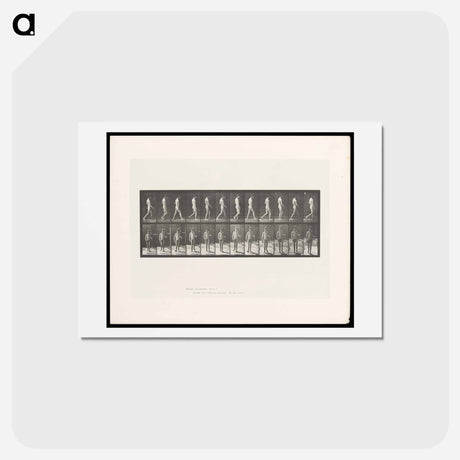 アートポストカード-Man Walking
 - エドワード マイブリッジ Postcard.