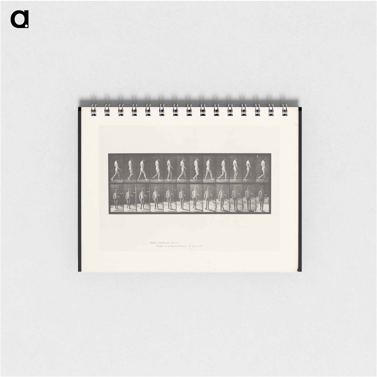 アートメモ帳-Man Walking
 - エドワード マイブリッジ Memo.