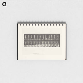 アートメモ帳-Man Walking
 - エドワード マイブリッジ Memo.