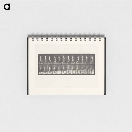 アートメモ帳-Man Walking
 - エドワード マイブリッジ Memo.
