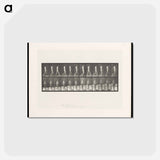 アートポストカード-Man Walking
 - エドワード マイブリッジ Postcard.
