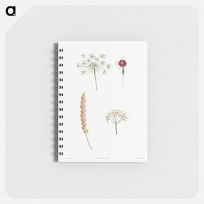 アートメモ帳-White flower set - ピエール ジョゼフ ルドゥーテ Memo.
