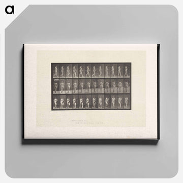 Naked Woman Walking
 - エドワード マイブリッジ Canvas.