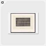 アートポストカード-Naked Woman Walking
 - エドワード マイブリッジ Postcard.