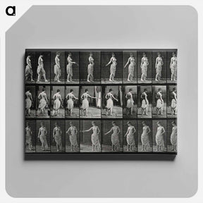 アートパネル-Bouquet Throw
 - エドワード マイブリッジ Canvas.