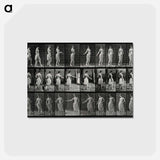 アートポストカード-Bouquet Throw
 - エドワード マイブリッジ Postcard.