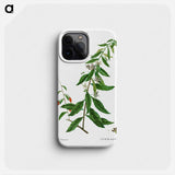 Lycium chinense - ピエール ジョゼフ ルドゥーテ Phone Case.