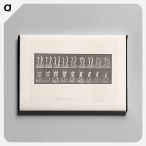 アートパネル-Pugilists
 - エドワード マイブリッジ Canvas.