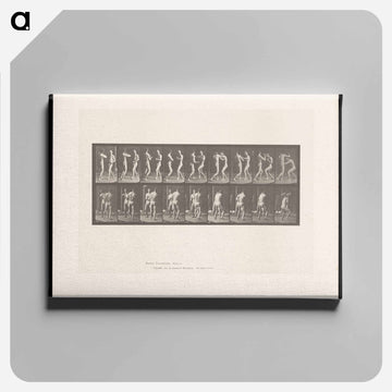 Pugilists
 - エドワード マイブリッジ Canvas.