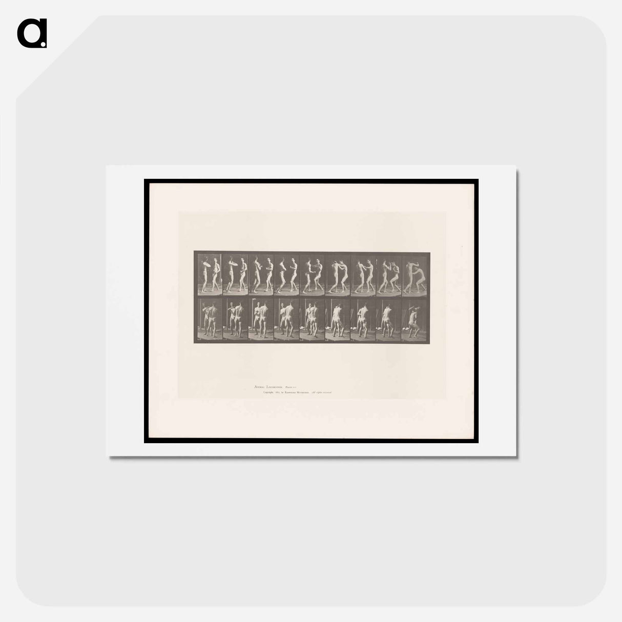 アートポストカード-Pugilists
 - エドワード マイブリッジ Postcard.