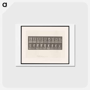 アートポストカード-Pugilists
 - エドワード マイブリッジ Postcard.