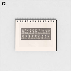 アートメモ帳-Pugilists
 - エドワード マイブリッジ Memo.