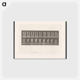 アートポストカード-Pugilists
 - エドワード マイブリッジ Postcard.