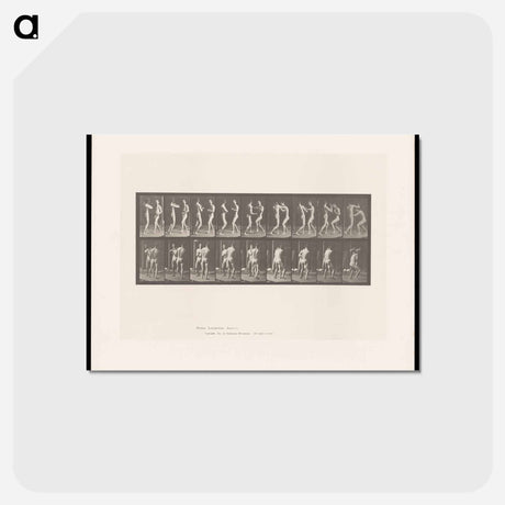 アートポストカード-Pugilists
 - エドワード マイブリッジ Postcard.