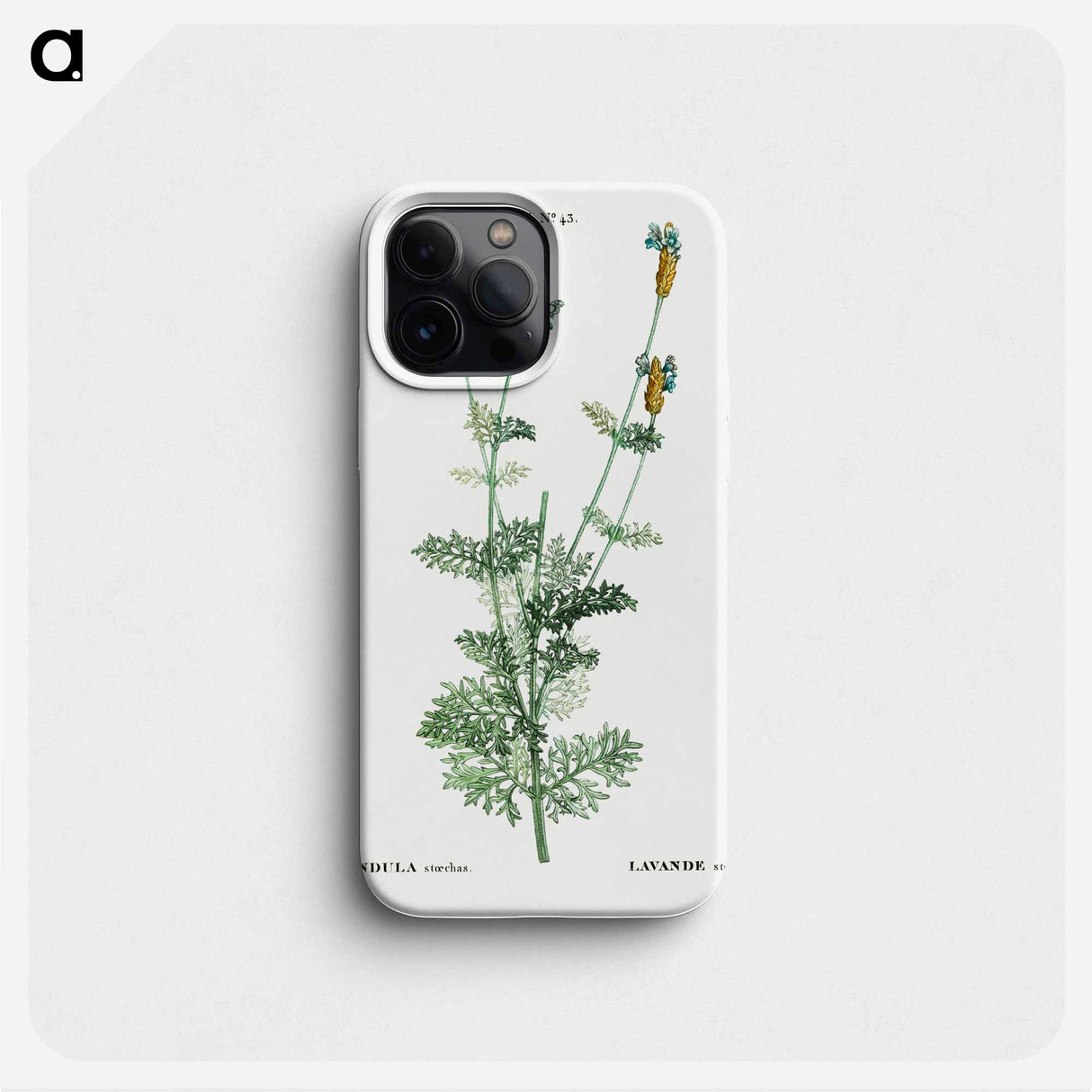 Spanish lavender - Pierre Joseph Redouté Phone Case.