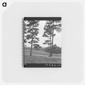 アートメモ帳-Untitled photo - ドロテア ラング Memo.