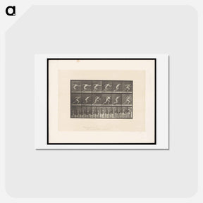 アートポストカード-Man Sprinting
 - エドワード マイブリッジ Postcard.