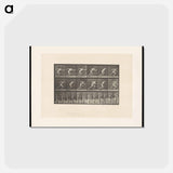 アートポストカード-Man Sprinting
 - エドワード マイブリッジ Postcard.