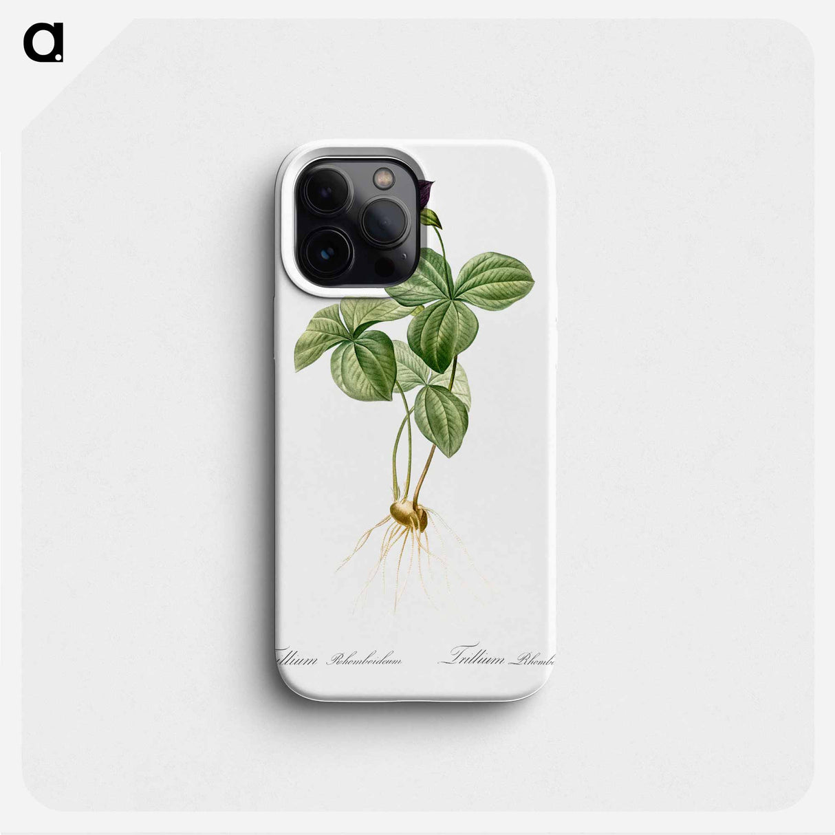 Trillium rhomboideum illustration - Pierre Joseph Redouté Phone Case.