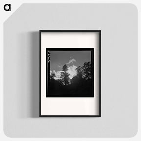 アートポスター-Shasta County Trees and Clouds
 - ラッセル リー Poster.