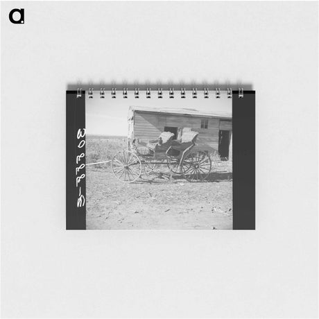 アートメモ帳-Shasta County Trees and Clouds
 - ラッセル リー Memo.