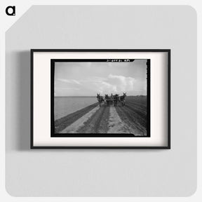 アートポスター-West Texas farmer replanting cotton - ドロテア ラング Poster.