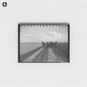 アートメモ帳-West Texas farmer replanting cotton - ドロテア ラング Memo.