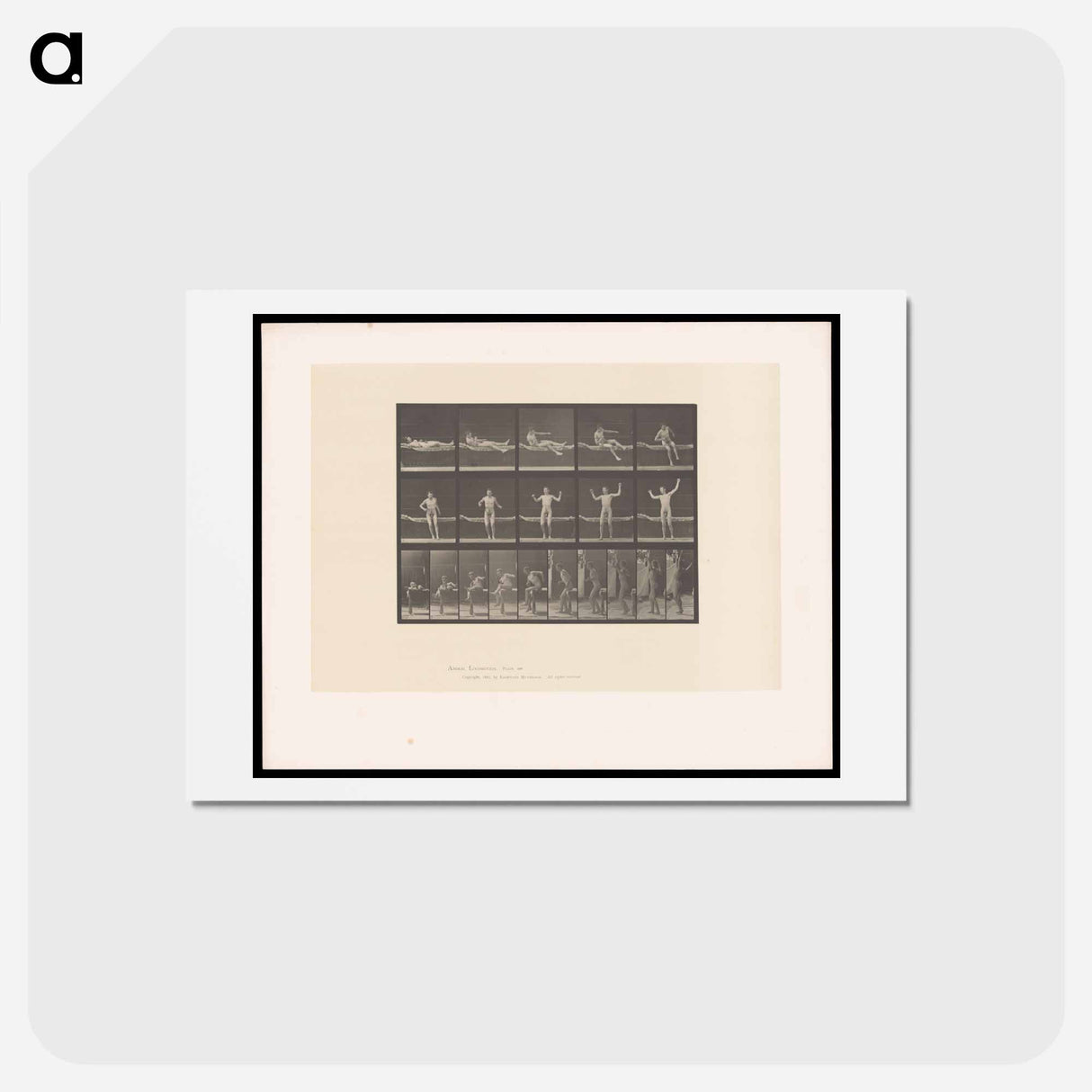 アートポストカード-Man Getting Out of Bed
 - エドワード マイブリッジ Postcard.