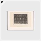 アートポストカード-Man Getting Out of Bed
 - エドワード マイブリッジ Postcard.