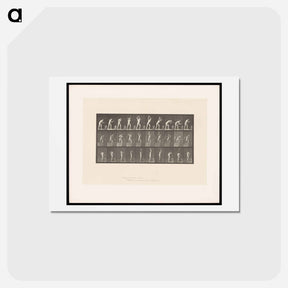 アートポストカード-The Blacksmith
 - エドワード マイブリッジ Postcard.