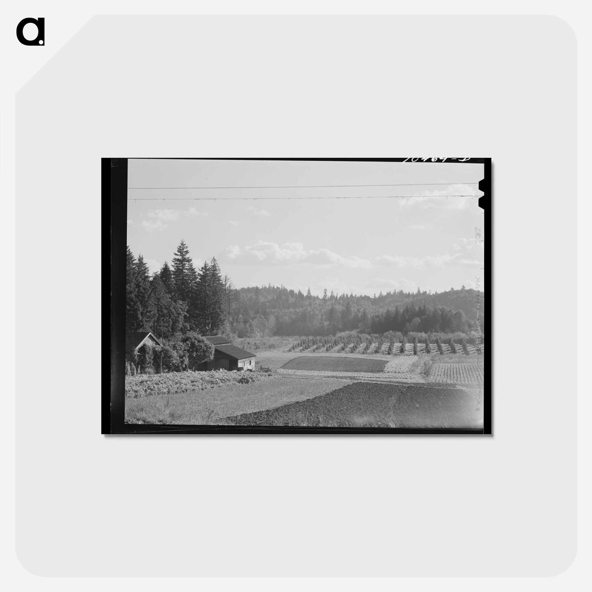 アートポストカード-Willamette Valley Gardens and Orchards
 - ラッセル リー Postcard.