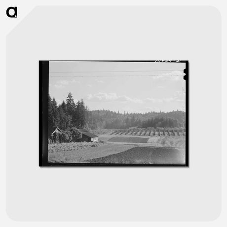 アートポストカード-Willamette Valley Gardens and Orchards
 - ラッセル リー Postcard.
